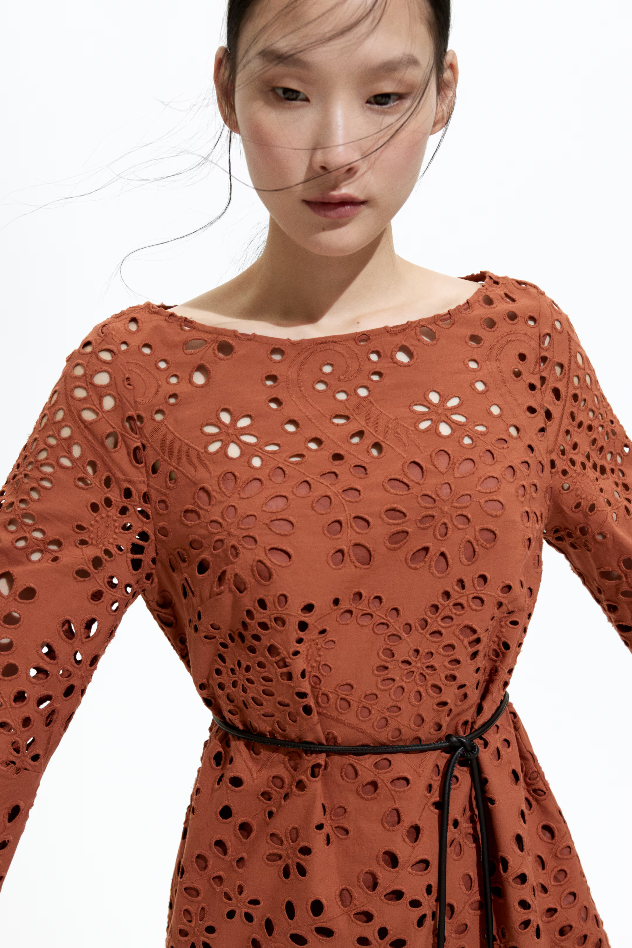 Eyelet Embroidered Dress - Brown - Ladies | H&M US | H&M (US + CA)