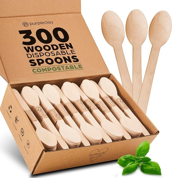 Disposable Wooden Spoons for Eating – 300 Pack Wooden Disposable Spoon, FSC Certified Wood Smal... | Amazon (US)