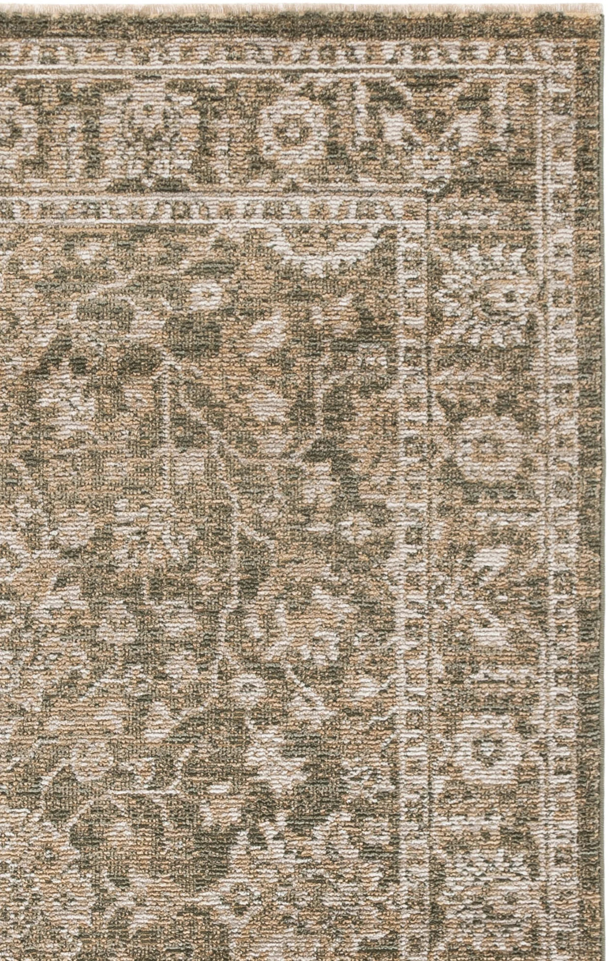 Hazel 510 Performance Oriental Rug | Wayfair North America