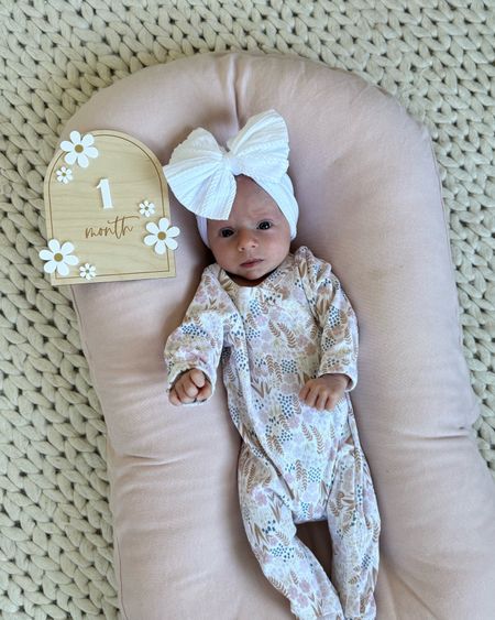 Monthly milestone photo props

Newborn lounger, newborn outfits, baby girl clothes, baby girl bows 

#LTKbaby #LTKbump