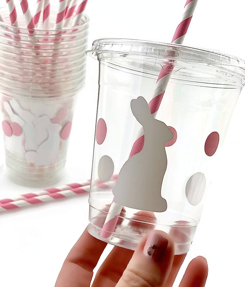 Bunny Party Cups - 12 Set Plastic Lids Straws Somebunny is One First Birthday | Amazon (US)