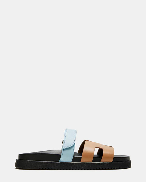 MAYVEN TAN/BLUE | Steve Madden (US)