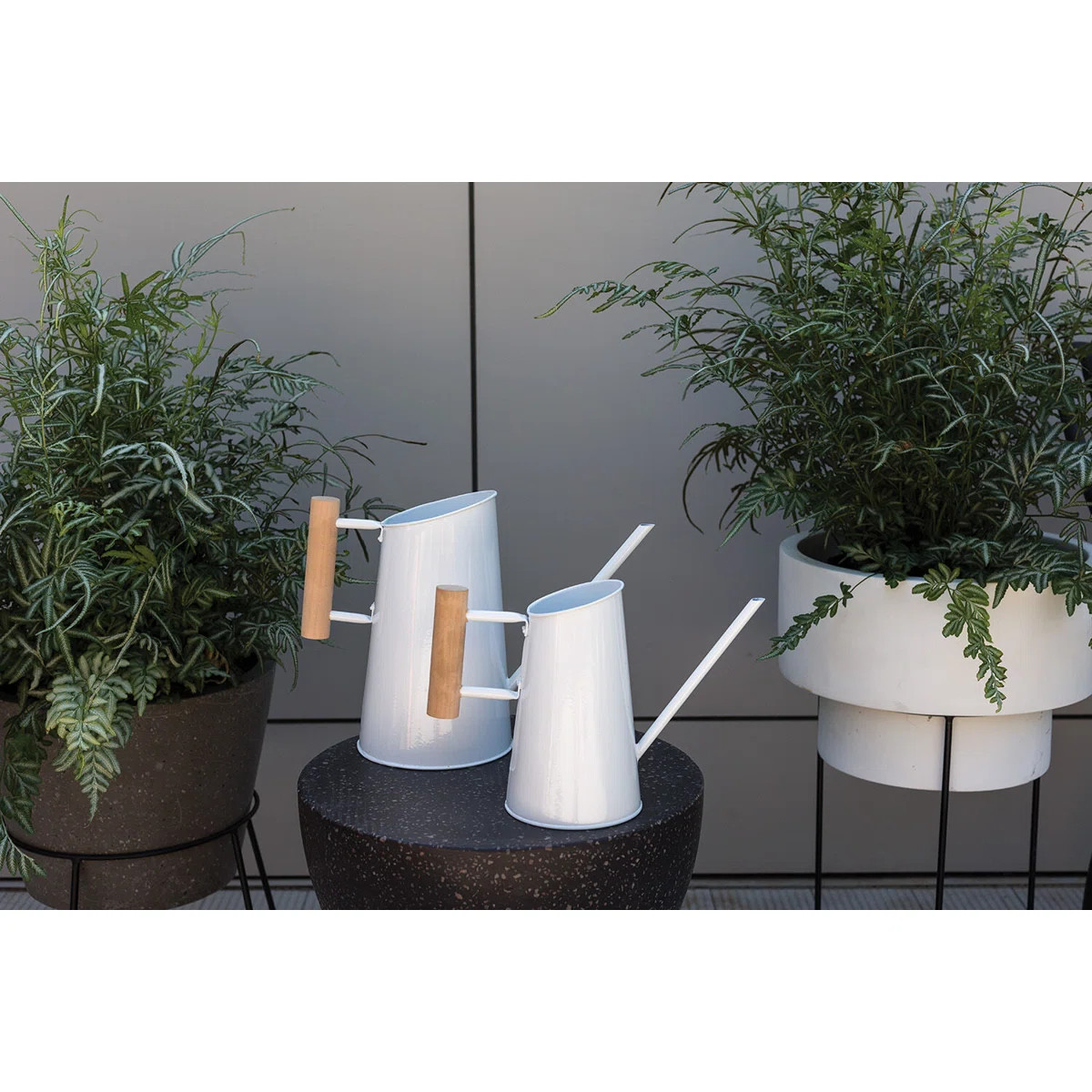 Teddy Watering Can | Wayfair North America