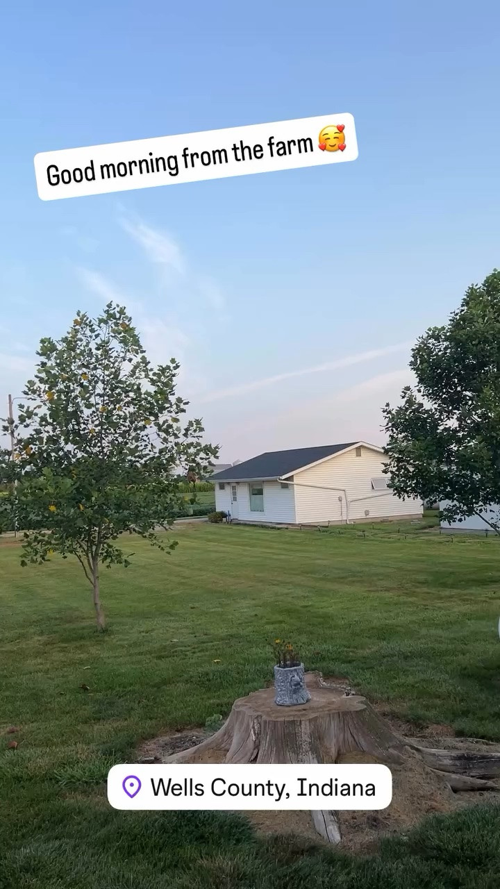 Good morning from the farm 🥰
just popping in to say hello from a gorgeously, cool and peaceful morning, ☕️

#LTKdayinmylife