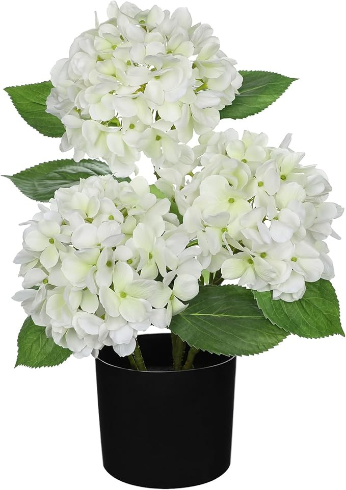 Hollyone White Hydrangea Artificial Flowers in Pots 19.7" Faux Silk Hydranges Flowers Tree Arrang... | Amazon (US)