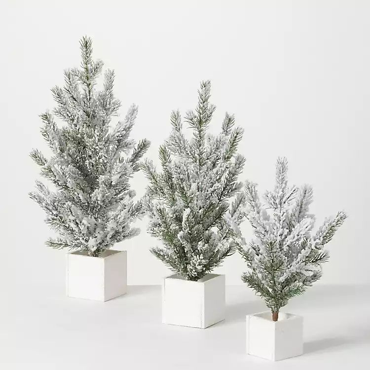 Snowy Pine White Potted Christmas Trees, Set of 3 | Kirkland's Home