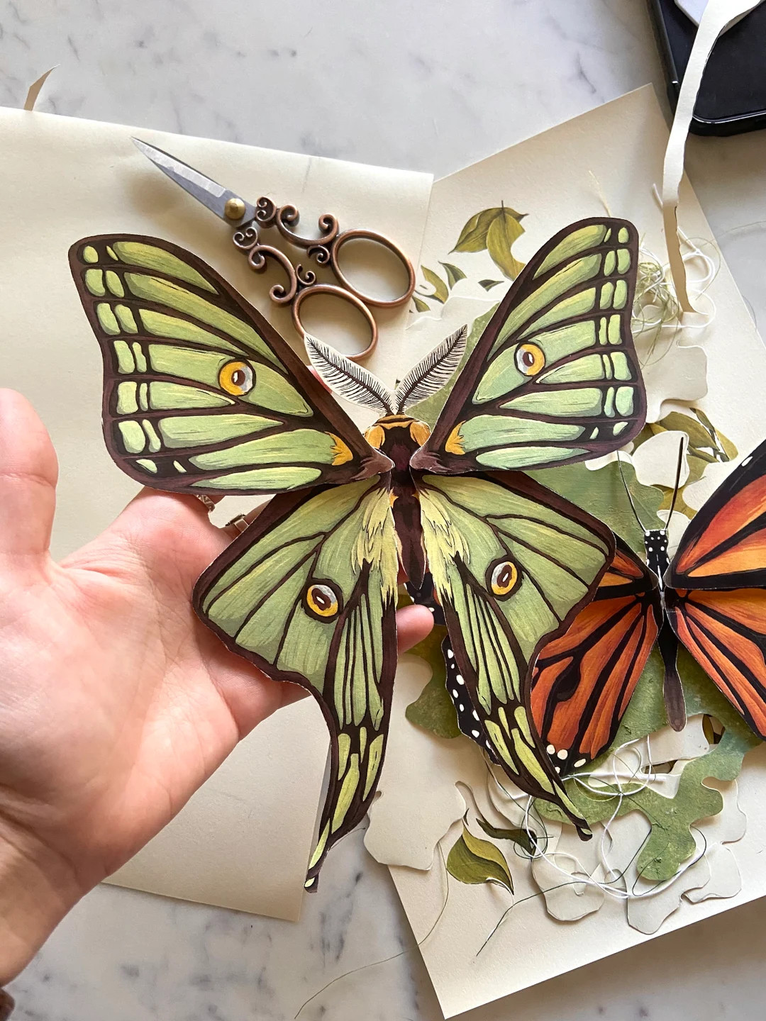 Luna Moth Paper Specimen Digital Download (bug, Insect, Entomology, Natural History, School Resou... | Etsy (US)