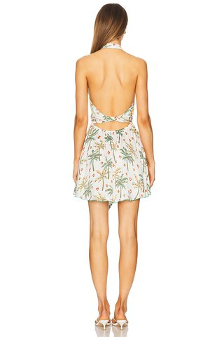 Cassandra Mini Dress in Green Equator | Revolve Clothing (Global)