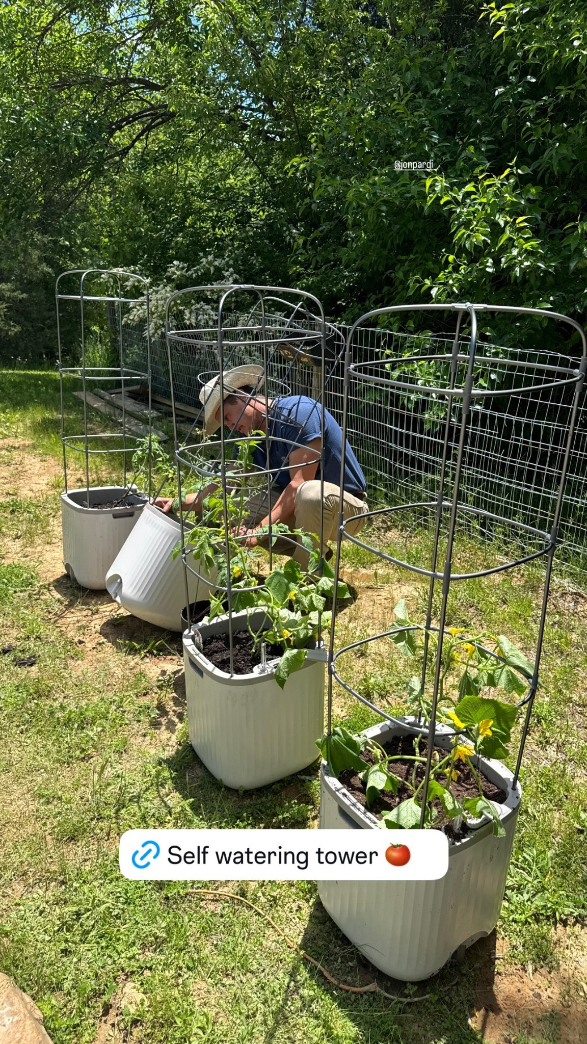 Self watering towers

#LTKFindsUnder50 #LTKFamily #LTKHome