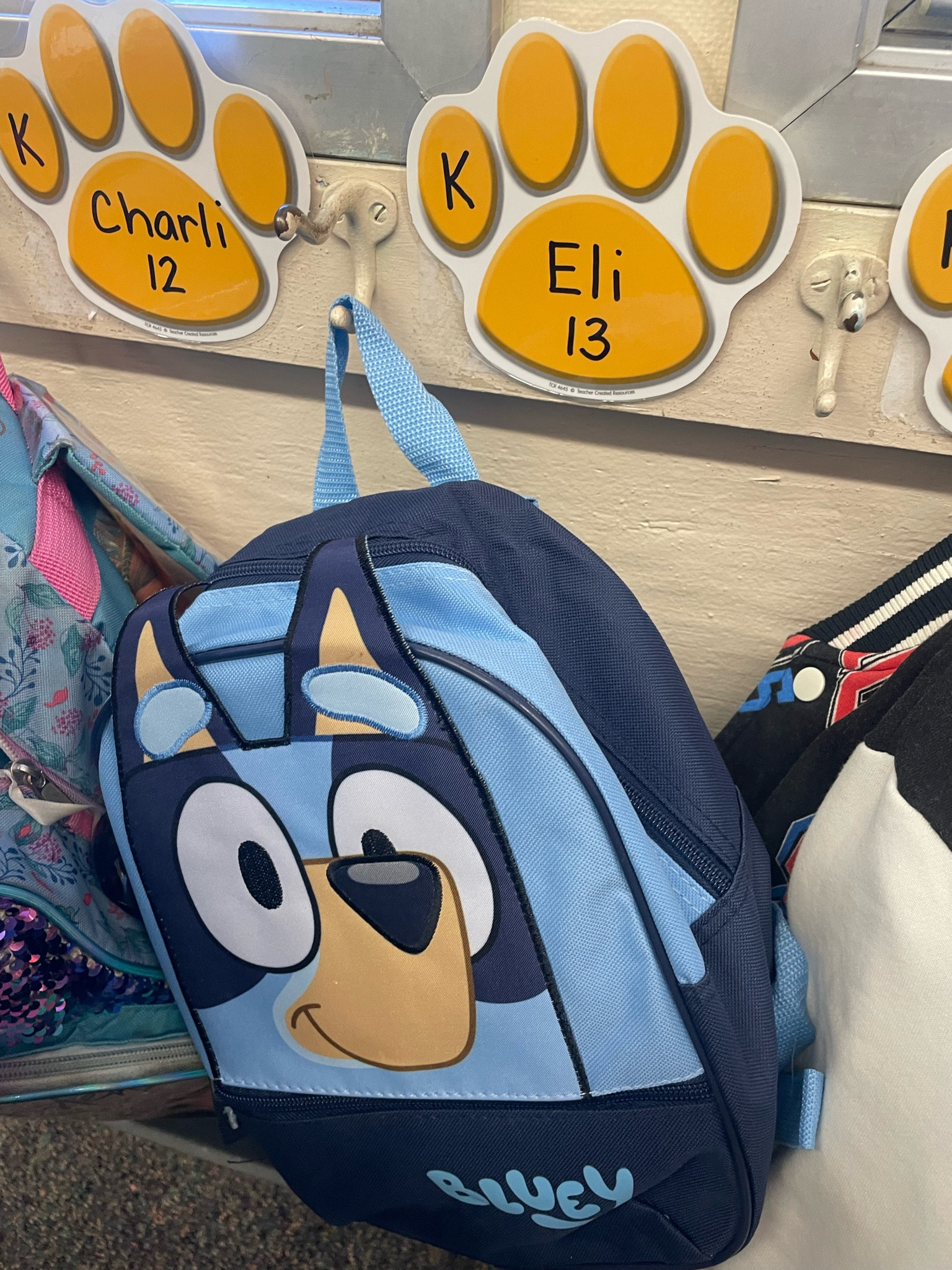 Bluey backpack!! We love bluey as you may be able to telll

#LTKKids #LTKBacktoSchool #LTKSeasonal
