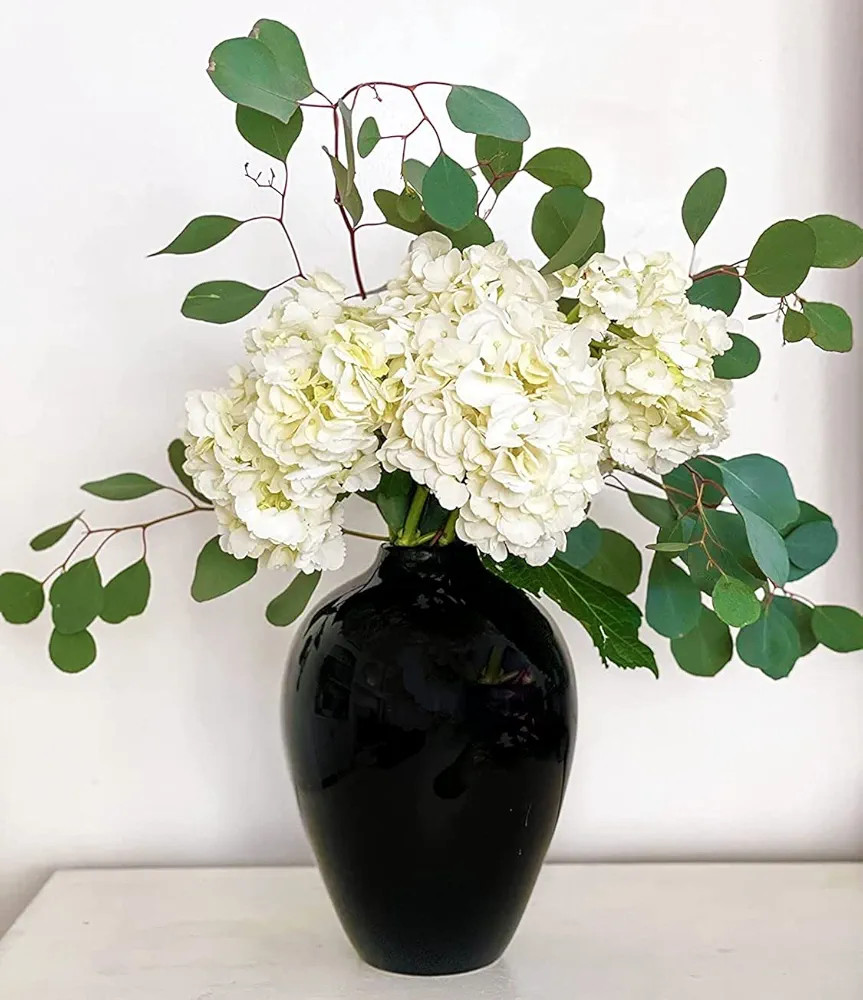 Willowy 10 Inch Large Black Ceramic Vase with Glossy Finish - Black Vases for Centerpieces - Blac... | Amazon (US)