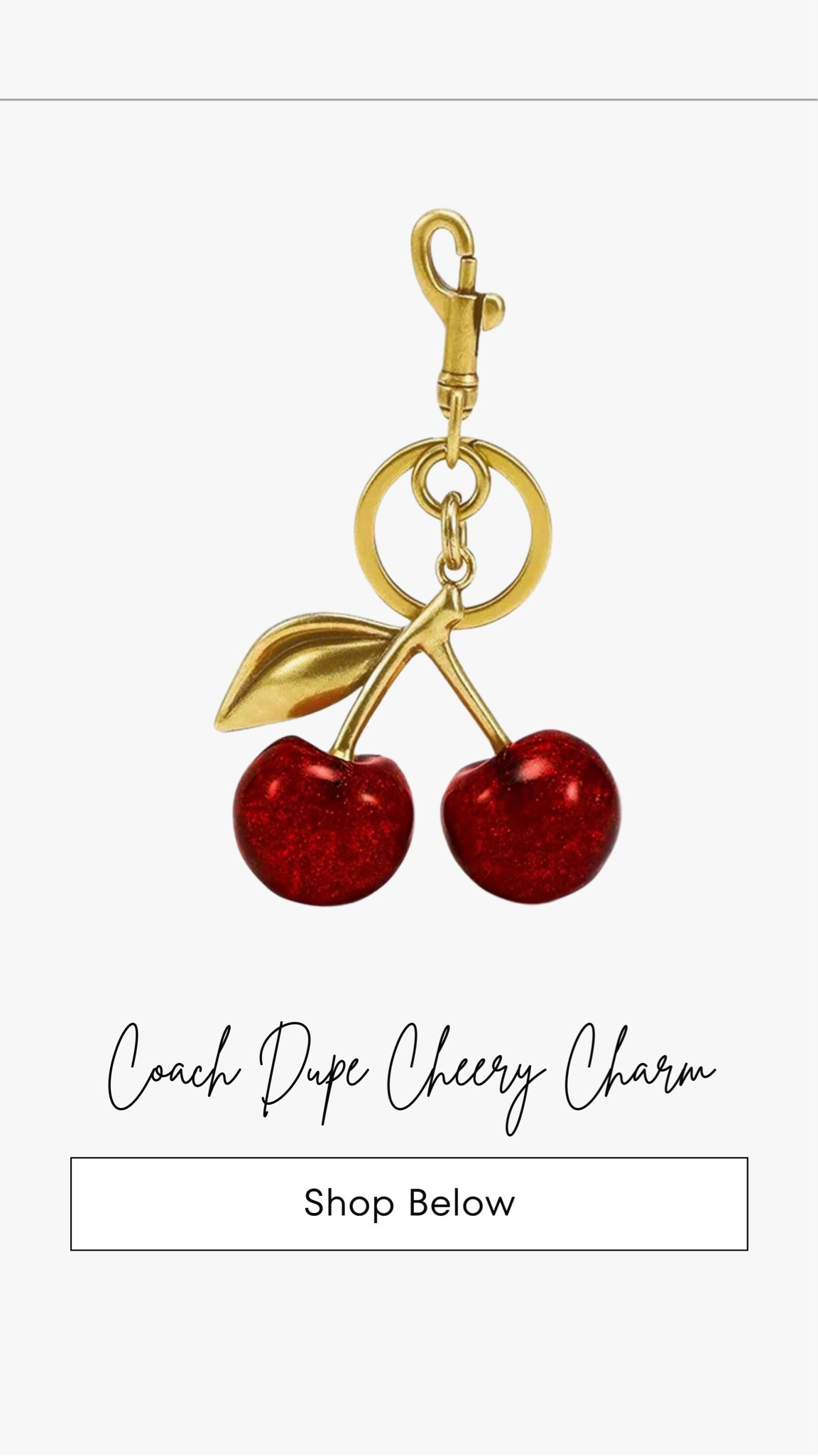 Coach bag charm dupe for a fraction of the price. It’s heavy, large & high quality !

#LTKfindsunder100 #LTKstyletip