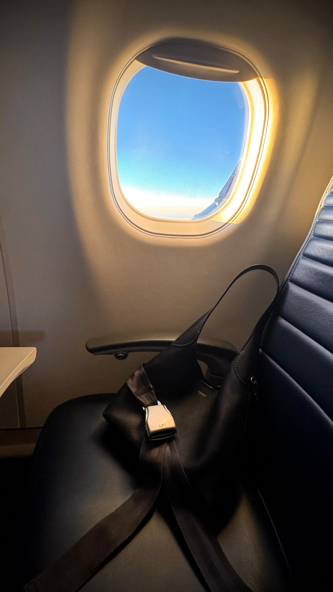 My travel companion 🖤



#LTKstorytime