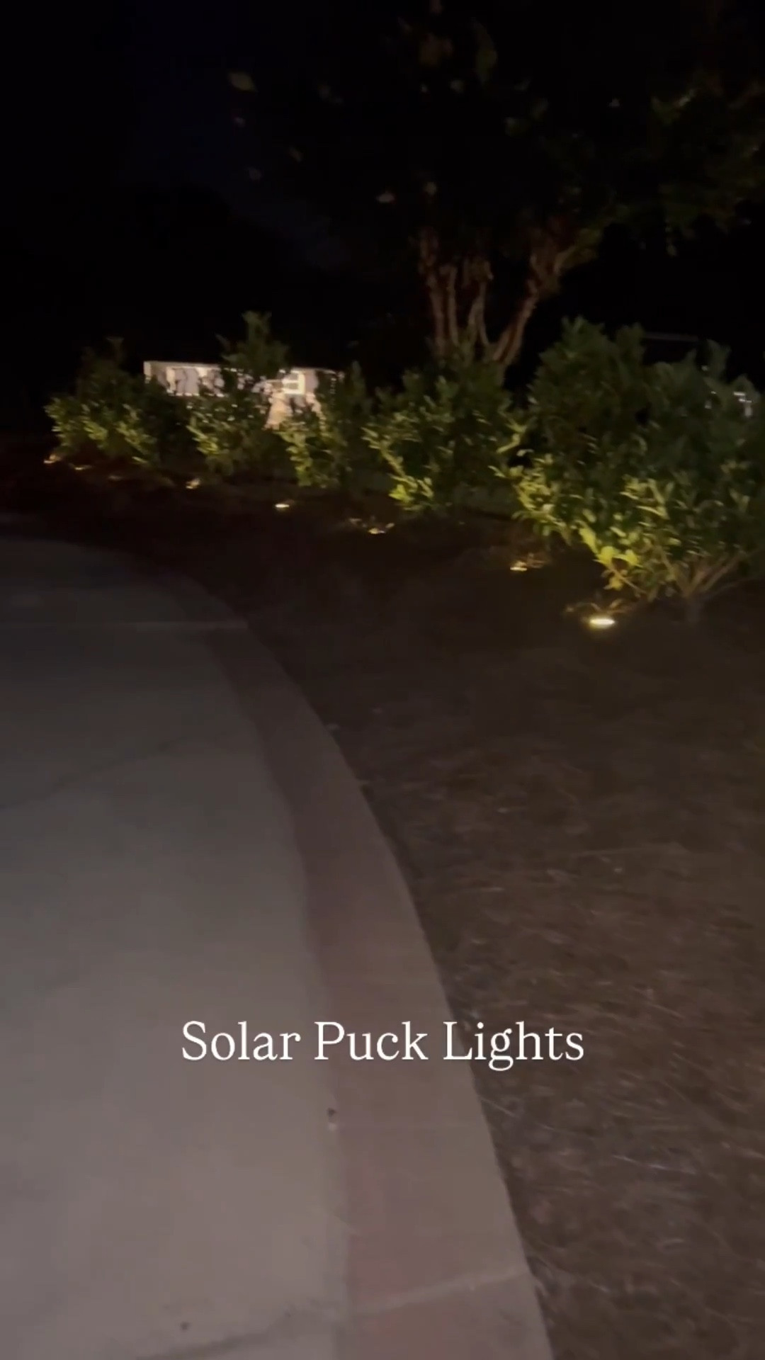 @amazon #ad #founditonAmazon #easter2025
Amazon | Amazon home | solar lights | landscape lights | solar pick lights | home find | amazon must have 

#LTKHome #LTKFindsUnder50 #LTKSaleAlert