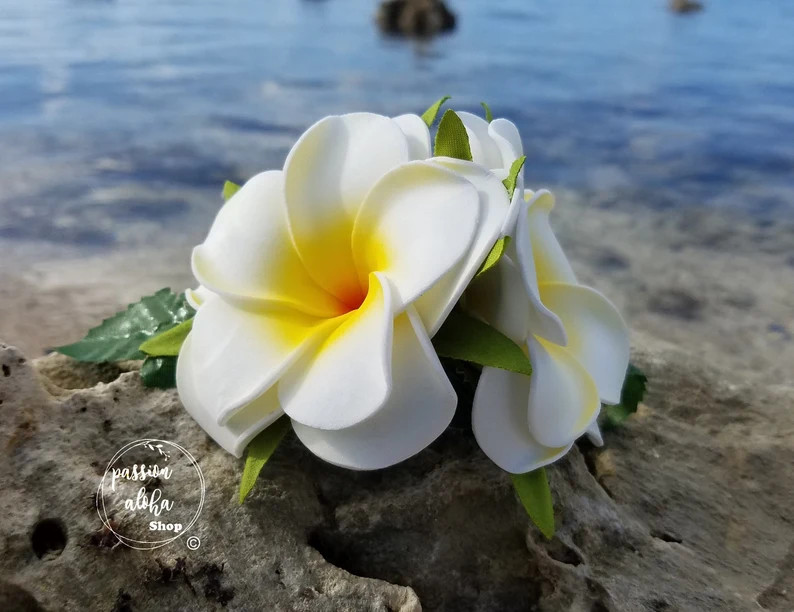Double Plumeria Hair Clip, Tropical Hair Clip, Bride Headpiece, Wedding Hair Flower, Bridal Headp... | Etsy (US)