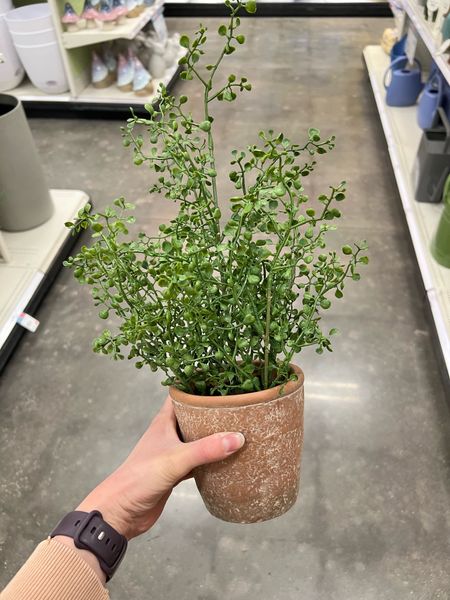This potted plant is so realistic looking & ON SALE

#LTKSaleAlert #LTKHome