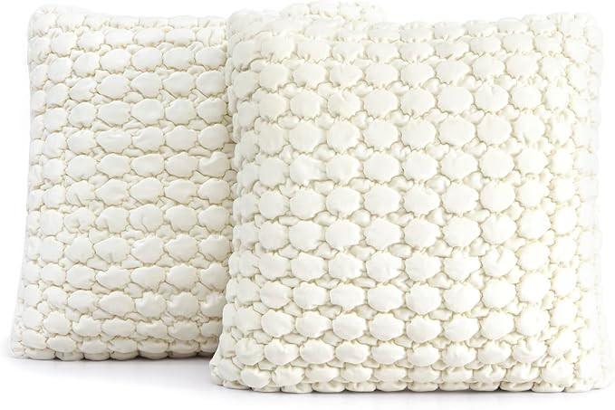 COCOPLOCEUS Set of 2 Boho Throw Pillow Covers 18x18 Decorative Farmhouse Pillow Covers Velvet Squ... | Amazon (US)