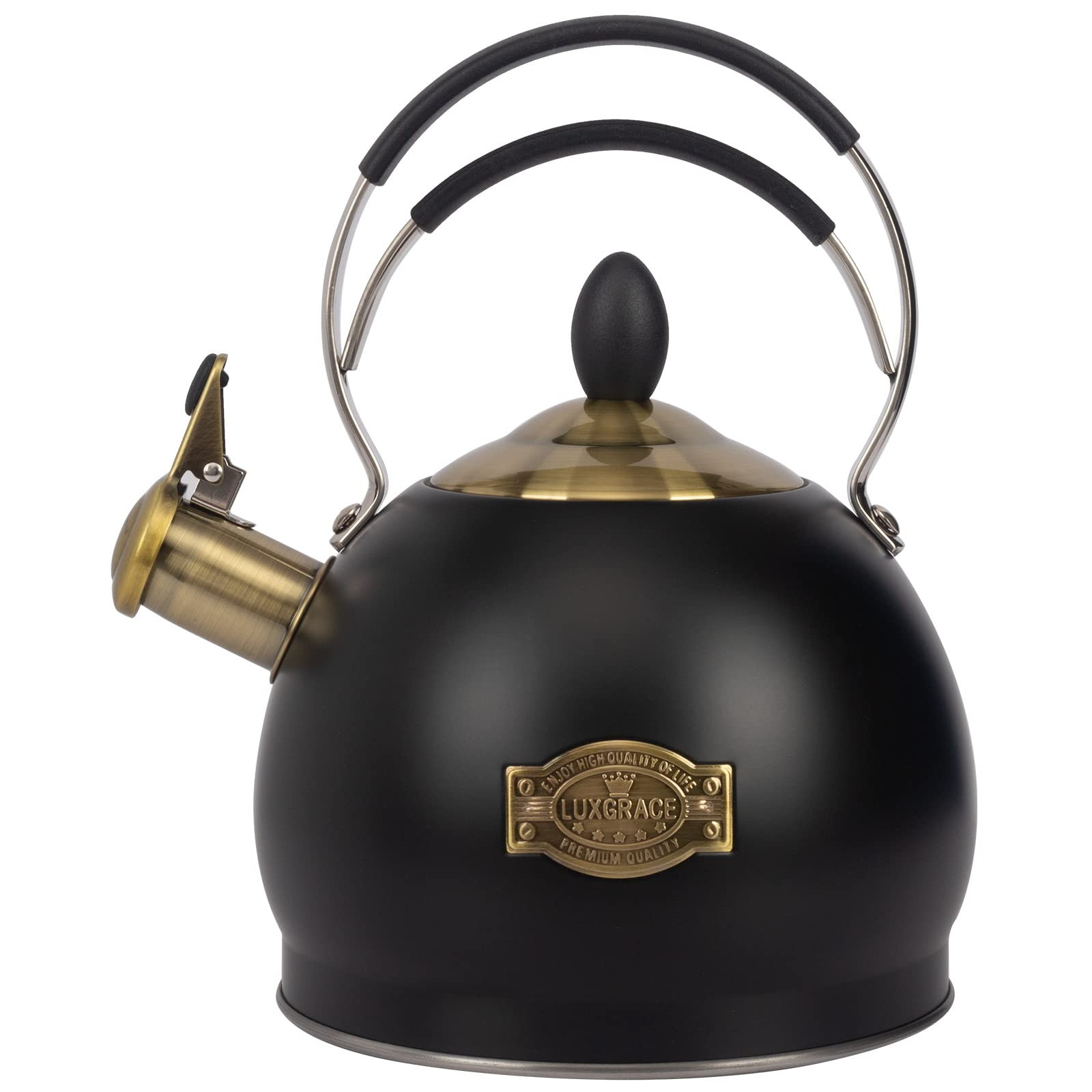 Whistling Tea Kettle Stainless Steel Teapot, Teakettle for Stovetop Induction Stove Top, Fast Boi... | Amazon (US)