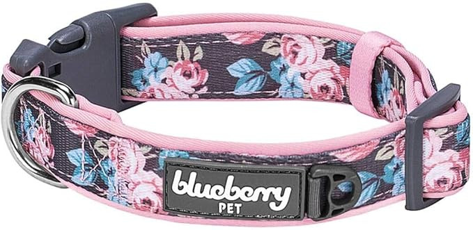 Blueberry Pet 5 Patterns Soft & Comfy Rose Flower Prints Girly Padded Adjustable Dog Collar, Smal... | Amazon (US)