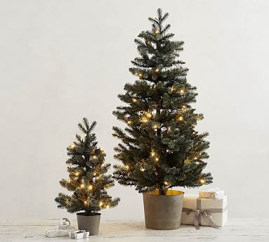 Pre-Lit Potted Faux Blue Spruce Trees | Pottery Barn (US)