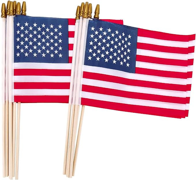 American Flags on Stick, 12 Pcs 8x12 Inch Small US Wood Stick Flags with Kid-Safe Spear Top, Memo... | Amazon (US)