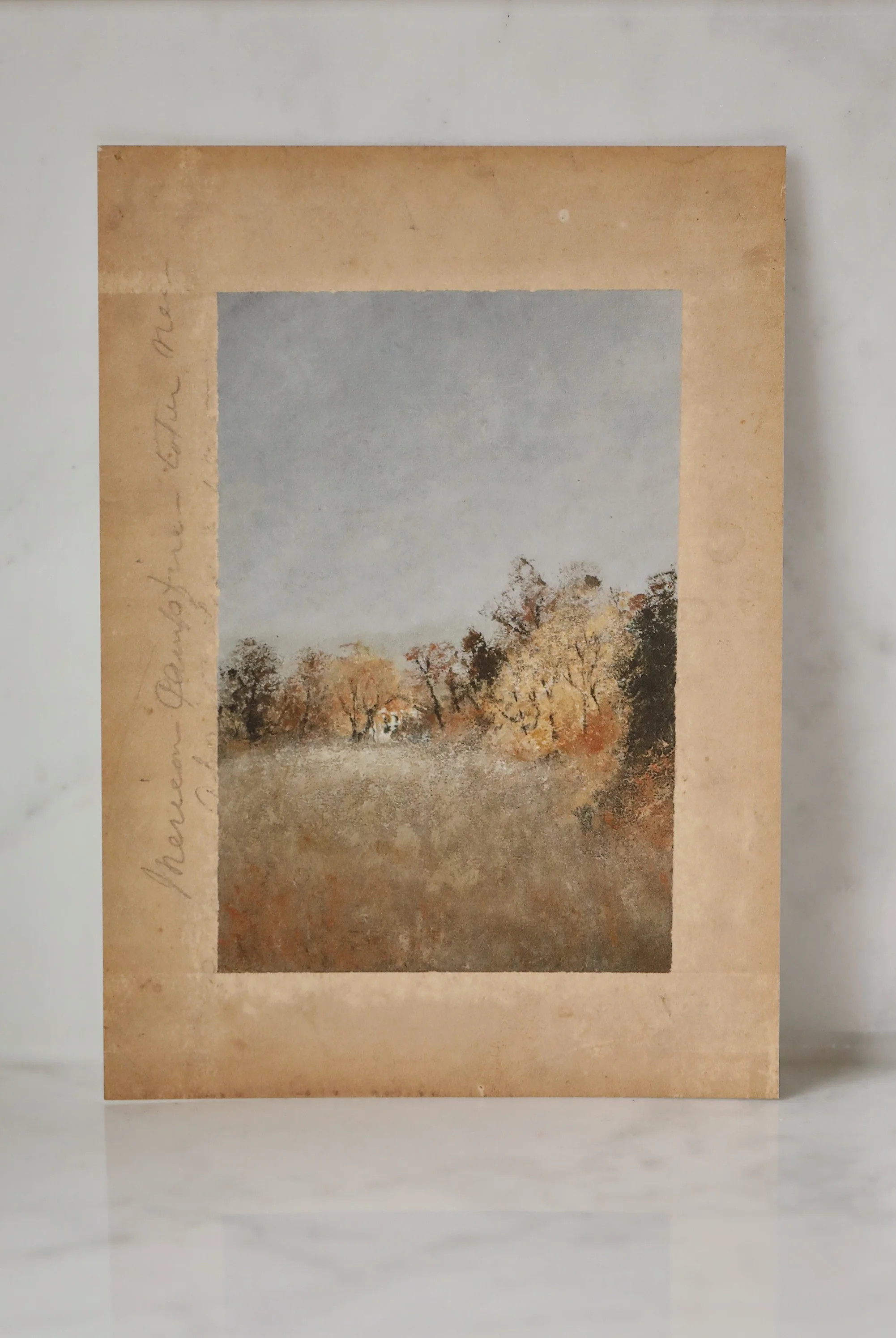 Fine Art: Cottage In The Woods by Aileen Fitzgerald | Stevie and Sazan LLC