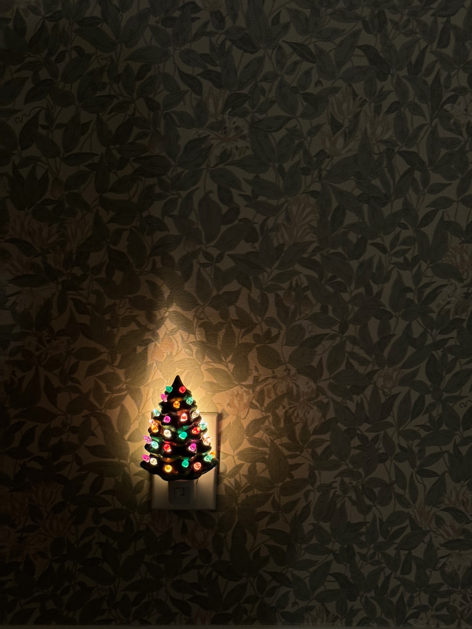 THe Cutest Christmas Nightlight - it's the little things in life 

 #LTKGiftGuide #LTKHoliday #LTKFamily