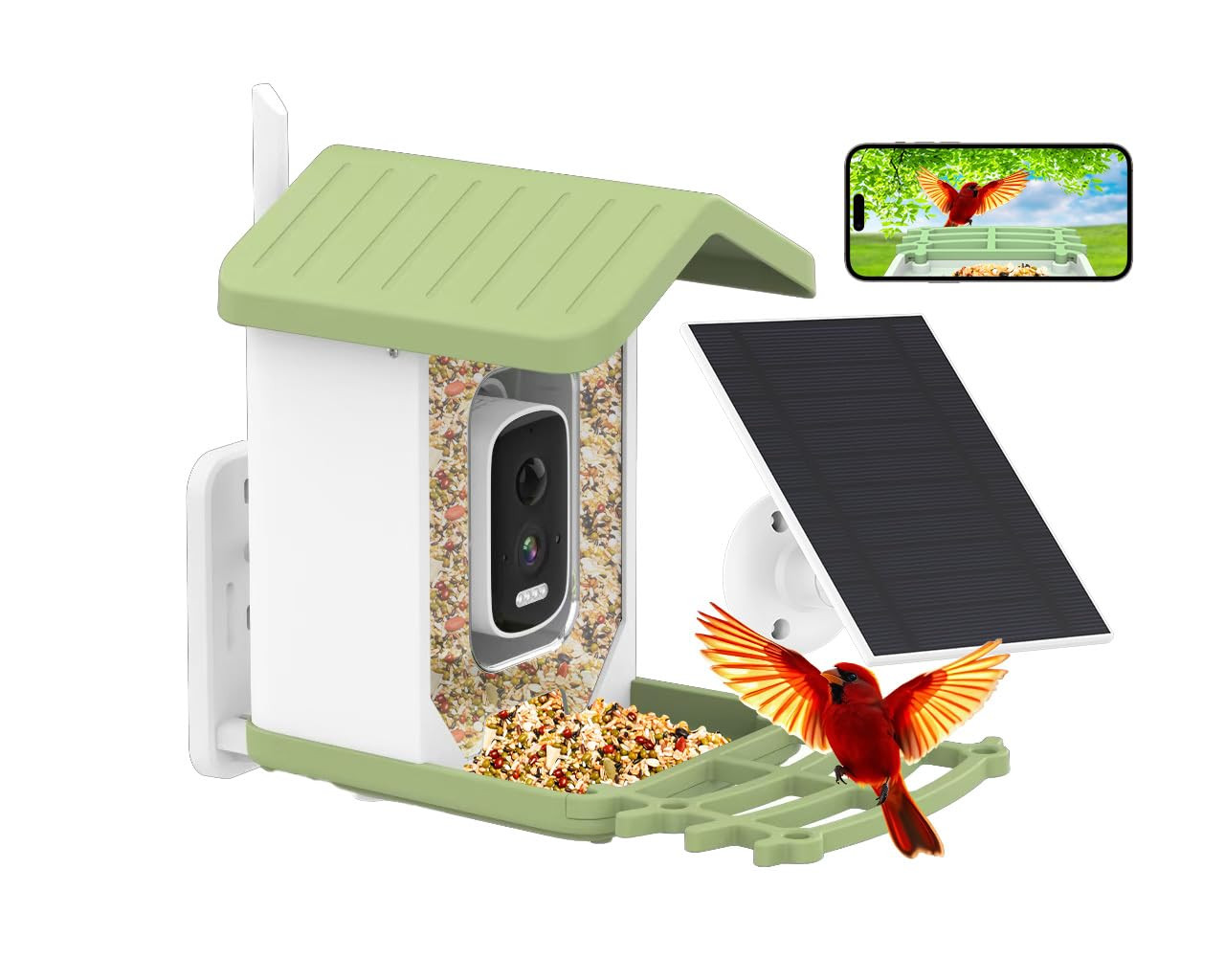 Bird Feeder with Camera Solar Powered, AI Identify Birds Species 10000+, 2.5K HD Video App Live V... | Amazon (US)
