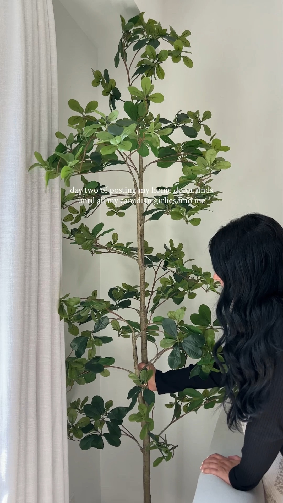 My absolute favourite faux tree — the black olive tree 😍

#LTKsale #LTKhome #LTKcanada