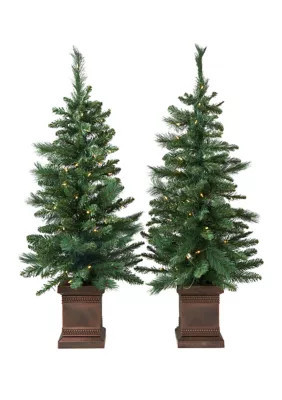 Joyland Green Pre-Lit Porch Trees, Set of 2 | Belk
