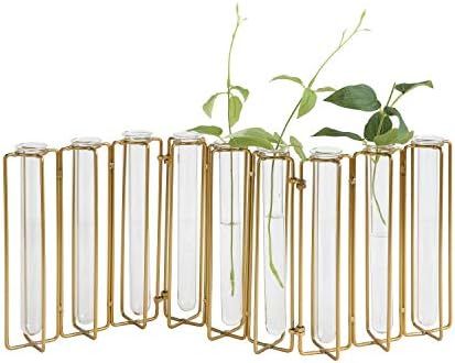 Creative Co-Op DA8478-1 9 Test Tube Vases in a Single Gold Metal Stand | Amazon (US)