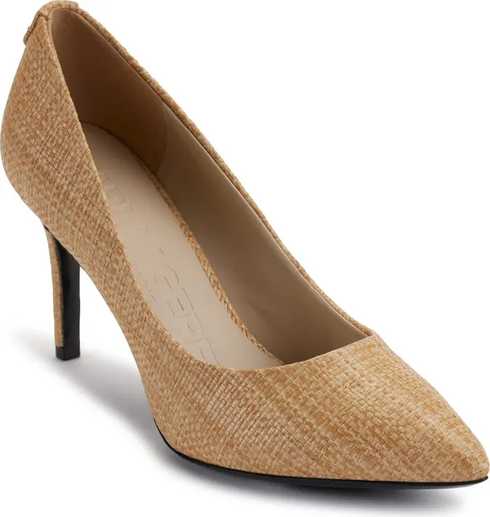 Royale Pointed Toe Pump (Women) | Nordstrom