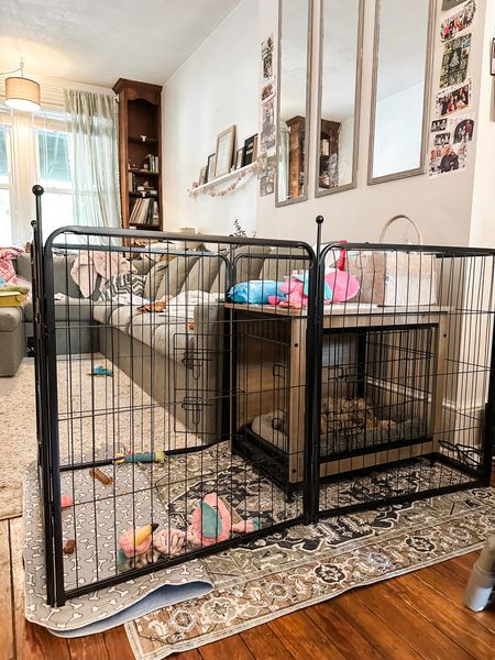 end table dog crate, metal play pen fence with door, puppy pee pad rug, puppy toys

#LTKfindsunder50 #LTKhome #LTKfamily