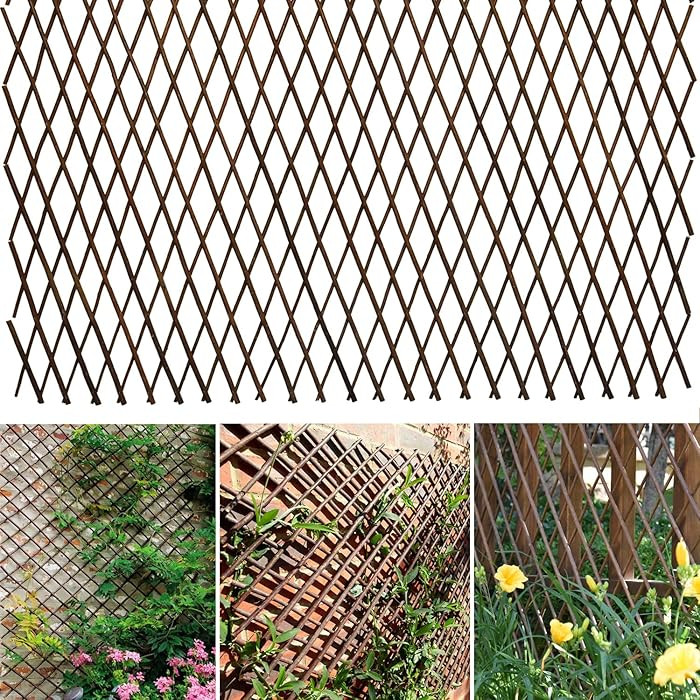 Expandable Willow Lattice Fence Panel Plant Support Garden Trellis Willow Trellis Fence for Climb... | Amazon (US)