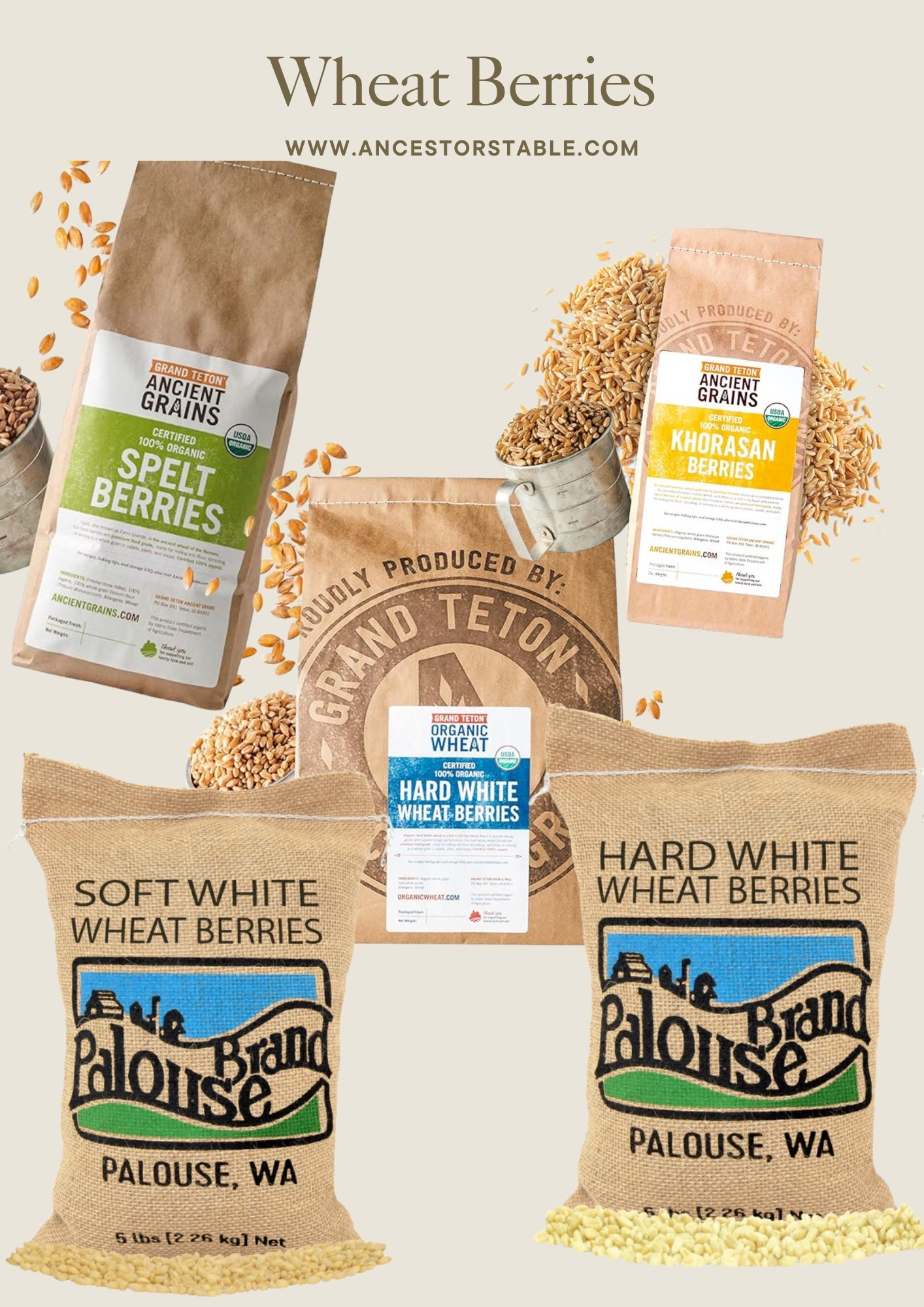 A few sources for grain berries that can be ordered through Amazon! Get started quickly with no complicated coop orders or sourcing research! 

#LTKHome