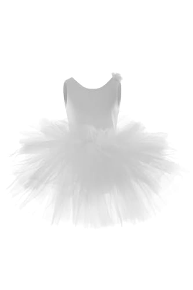 Toddler Girls Leotards Tutu Dance Dresses - Long Sleeve Cotton Ballet Outfit for Autumn & Winter ... | Amazon (US)