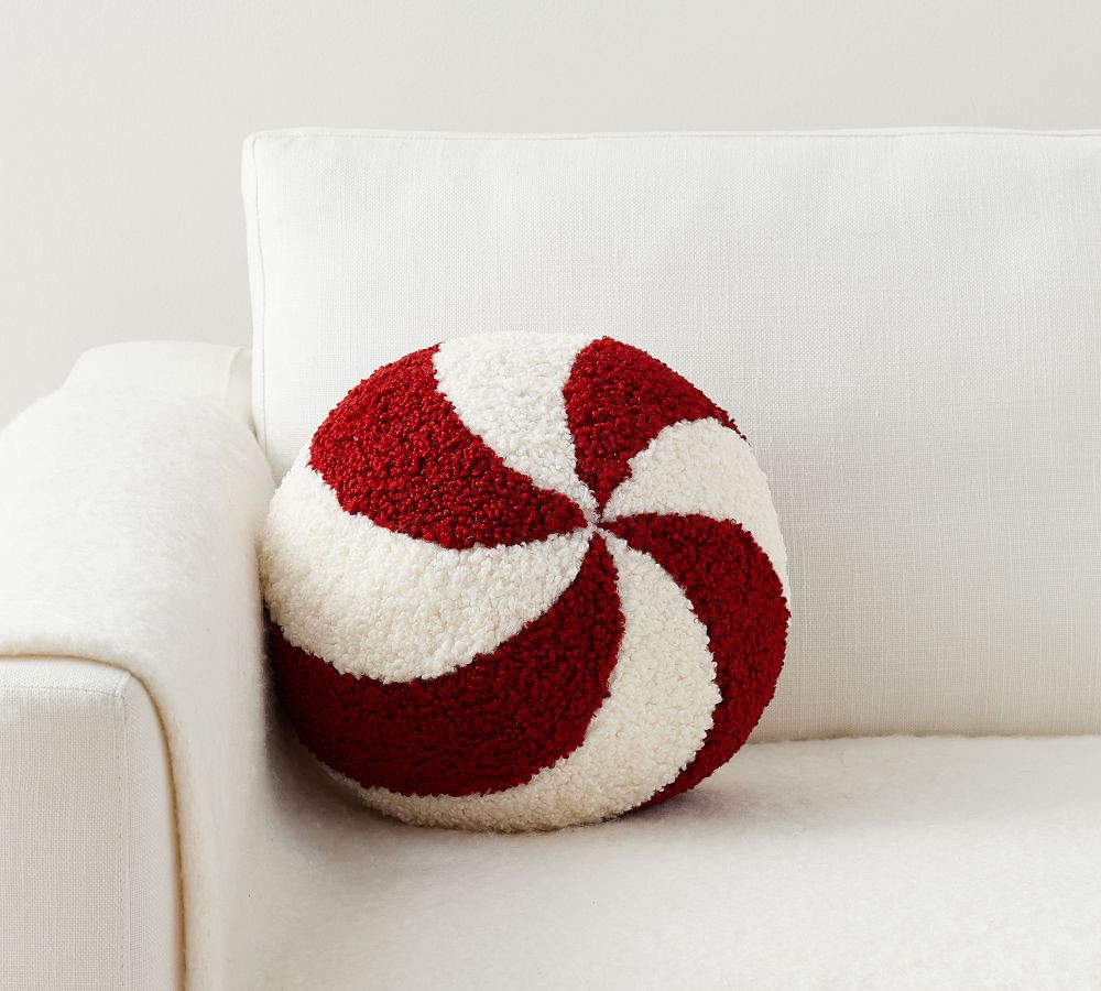 Cozy Teddy Orn-A-Mint Pillow | Pottery Barn (US)