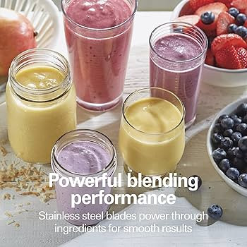 Hamilton Beach Portable Blender for Shakes and Smoothies with 14 Oz BPA Free Travel Cup and Lid, ... | Amazon (US)