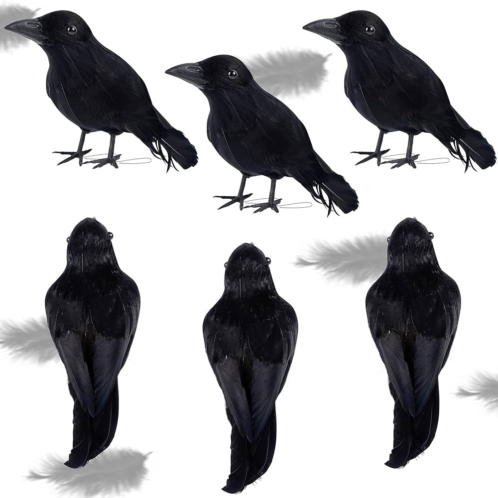 ATDAWN Halloween Birds, Black Feathered Crows, Realistic Looking Halloween Decoration Birds (6.7"... | Amazon (US)