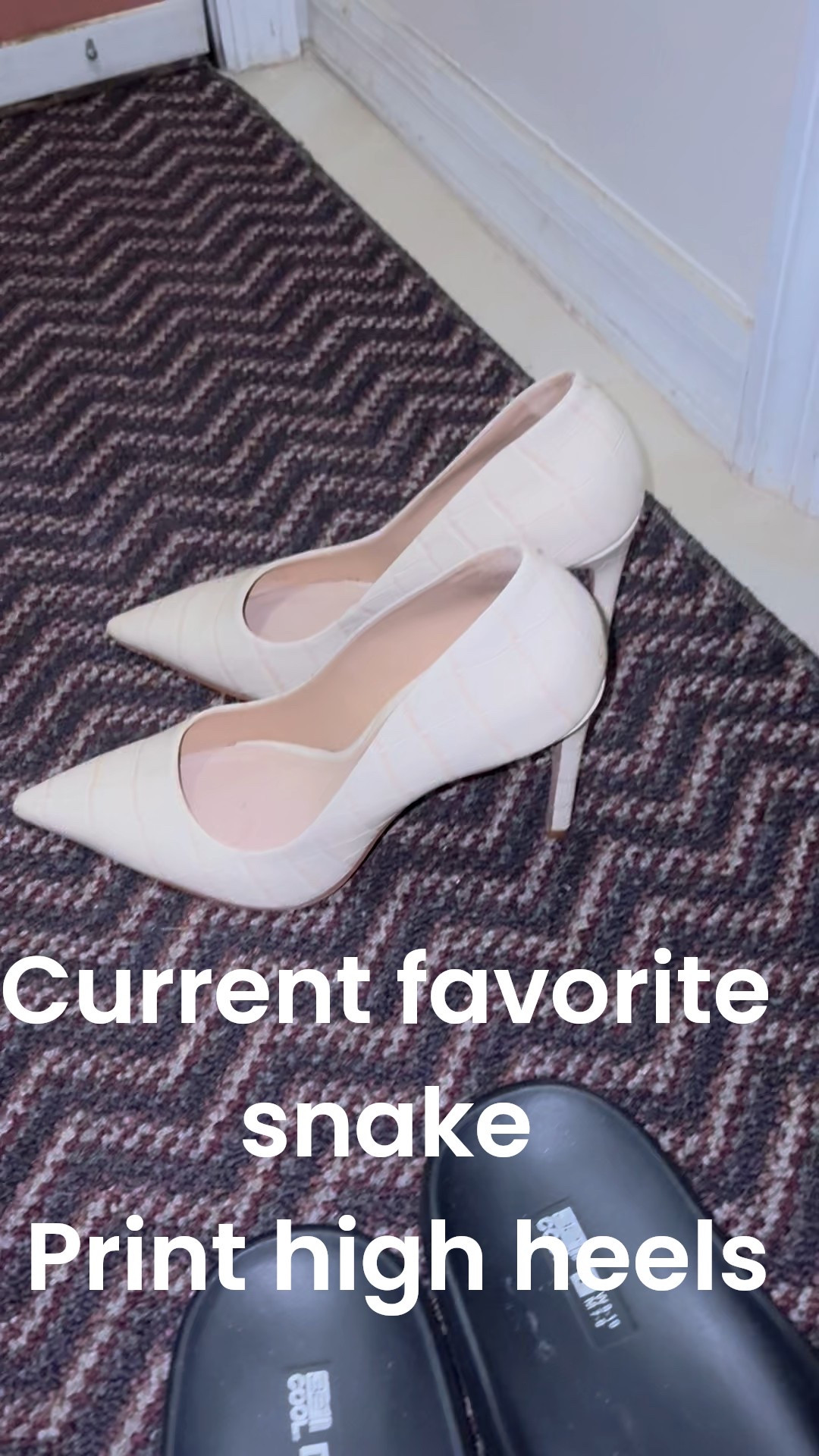 Fashion files , lookbook, snake print high heels #fashion #highheels 

#LTKgrwm