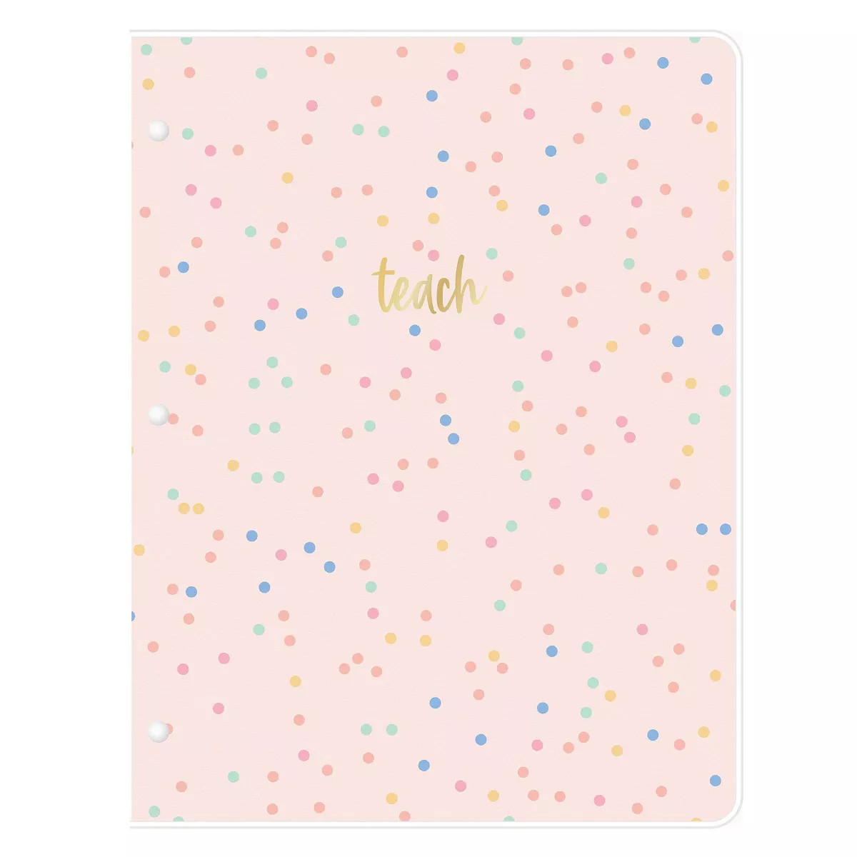 Blue Sky 8.5"x11" Monthly Teacher Lesson Stapled Planner Clear Cover Mira Pink, Teacher Supplies | Target