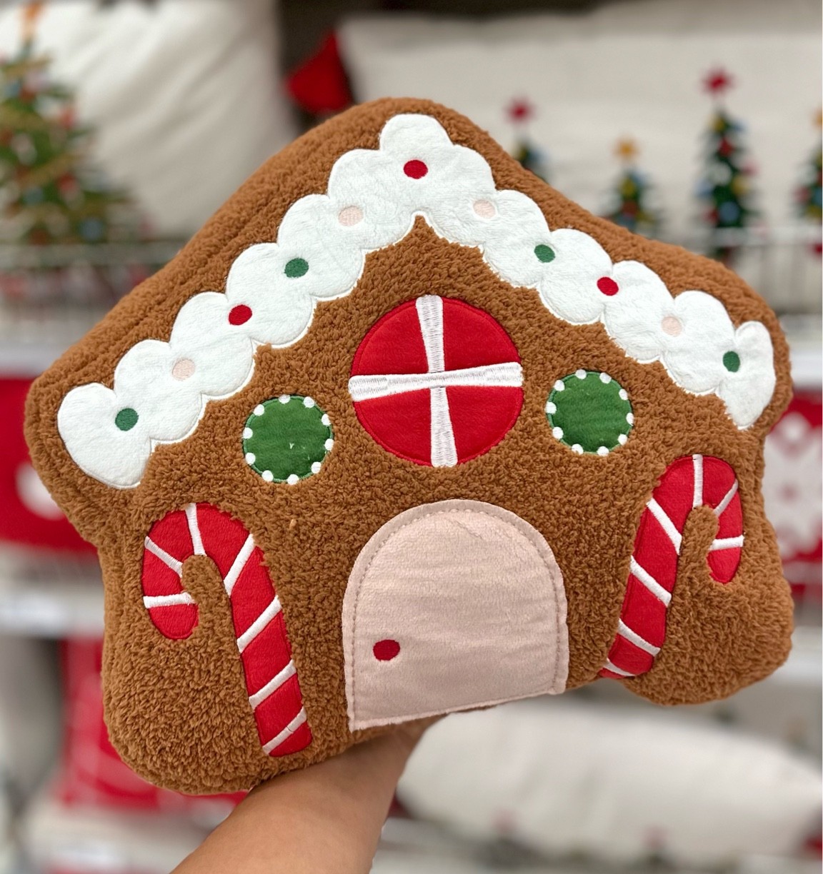 $10 Wondershop pillows and throw blankets😍

#LTKHoliday #LTKhome #LTKSeasonal