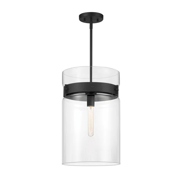 Deuxville 1 - Light Matte Black Single Pendant | Wayfair North America