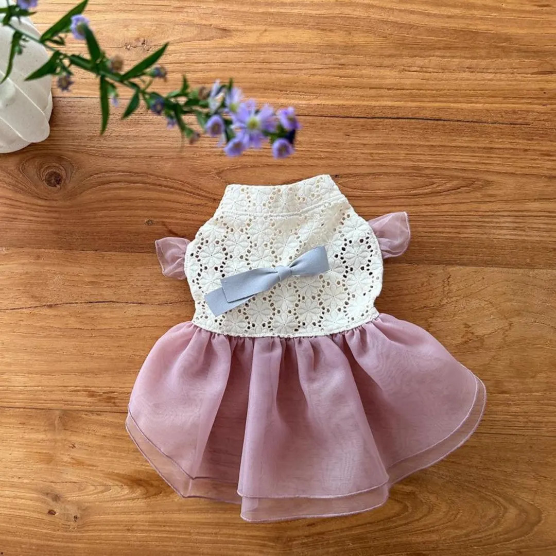 Korean Hanbok Dog Dress: Lace & Organza Pet Outfit | Etsy (US)