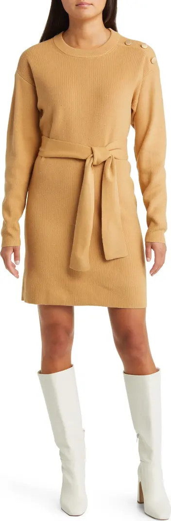 Long Sleeve Belted Mini Sweater Dress | Nordstrom