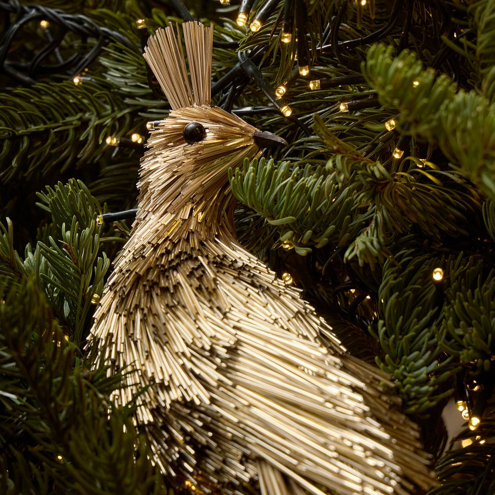 Mylar Large Bird Clip-On Ornament | West Elm (US)