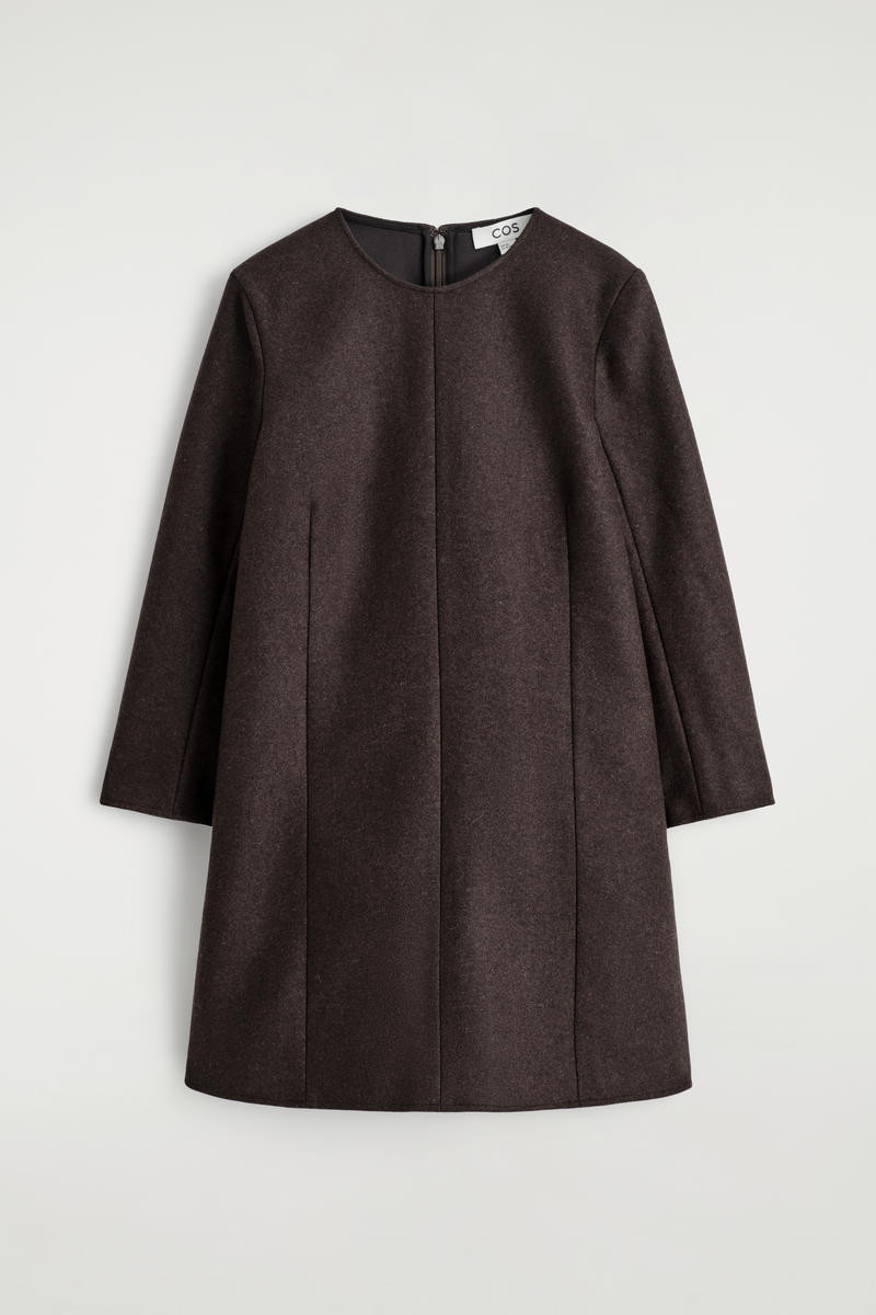 Long-Sleeved Wool Mini Dress | COS (US)