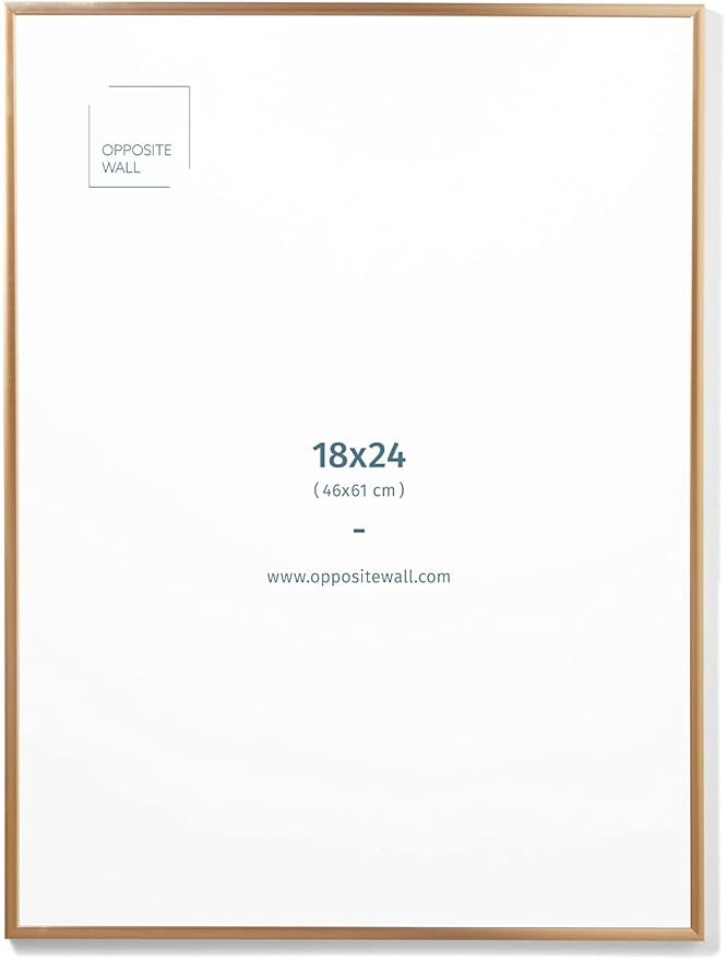 (24x36 in | 61x91 cm) Gold Sleek Matte Aluminium Metal Picture Frame Poster Frame Wall Photo Fram... | Amazon (CA)