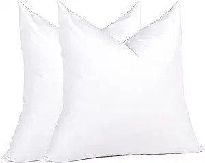 puredown® Feather Throw Pillow Inserts 22 x 22 (Pack of 2, White), Big Throw Pillows for Floor, ... | Amazon (US)