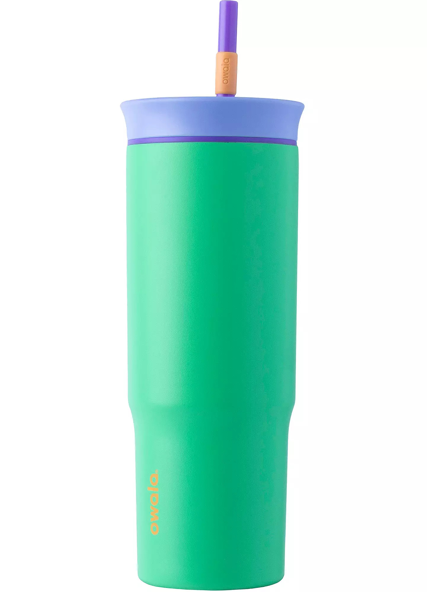 Owala 24 oz. Stainless Steel Straw Tumbler | DICK'S Sporting Goods